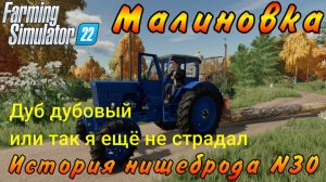 Farming Simulator 22. Малиновка. История нищеброда №30. Дуб дубовый или так я ещё не страдал.