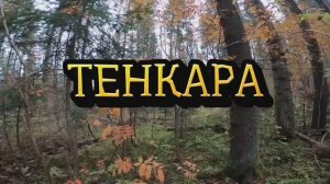 Тенкара воспоминание