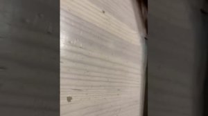 Наши поезда модимио Ач2 2часть