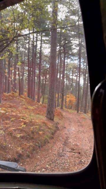 Патрулирование ГПЗ «Ялтинский горно-лесной». смотреть онлайн