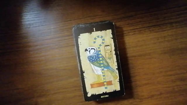 VID_20251112_222112 смотреть онлайн