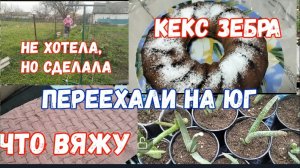 #128🏡Я вам рекомендую/Что Вяжу/Кекс Зебра/Столько алоэ 🤷/Не хотела/но сделала