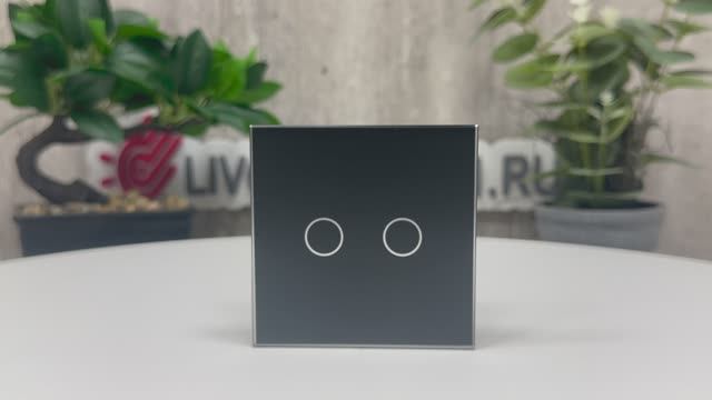Панель для сенсорного выключателя Livolo 2 клавиши, цвет черный матовый, стекло, BB-C7-C2-12 MT