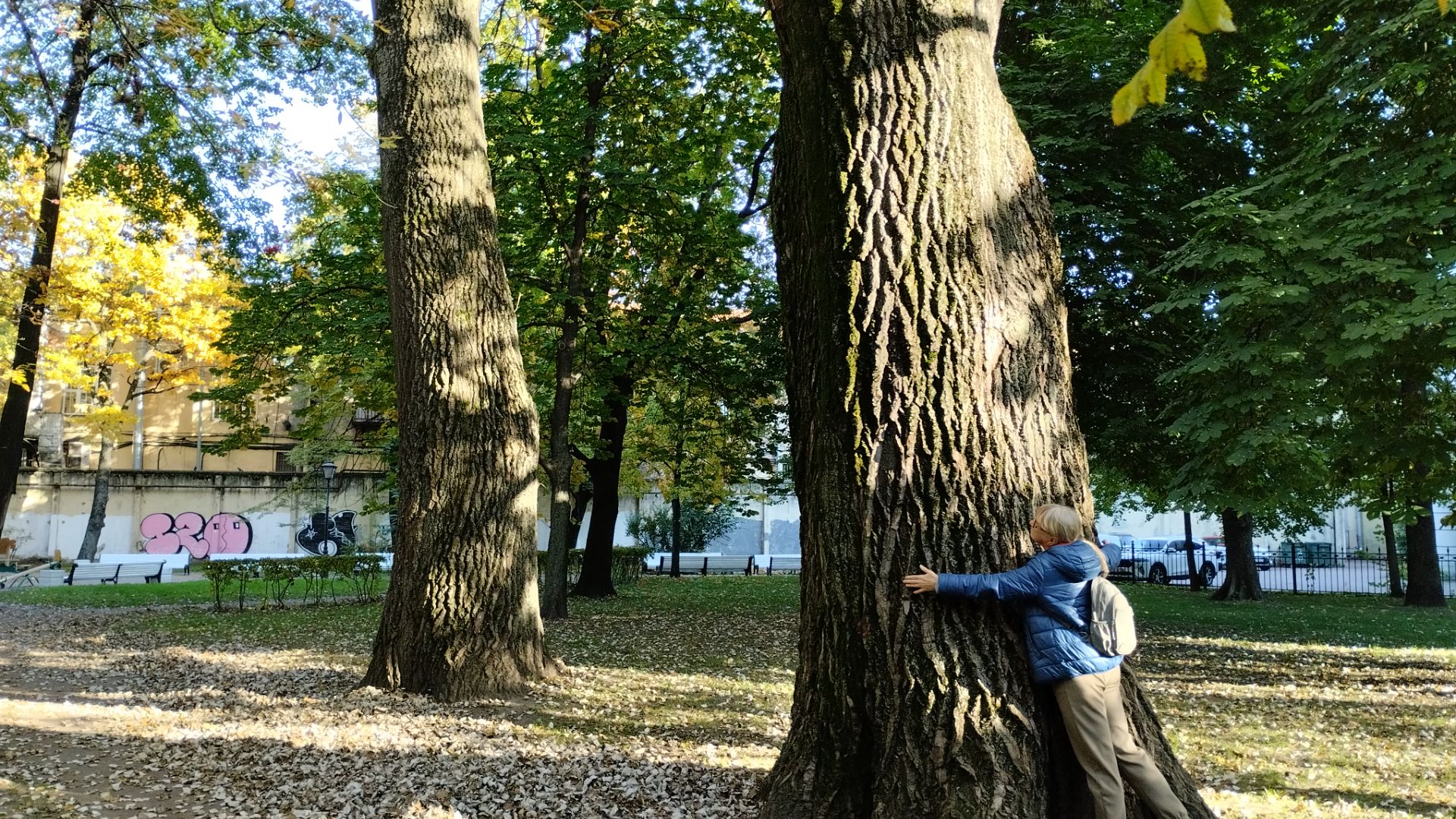 Итальянский сад смотреть онлайн