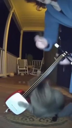 Три часа ночи: наступают Твой кот: 🕺