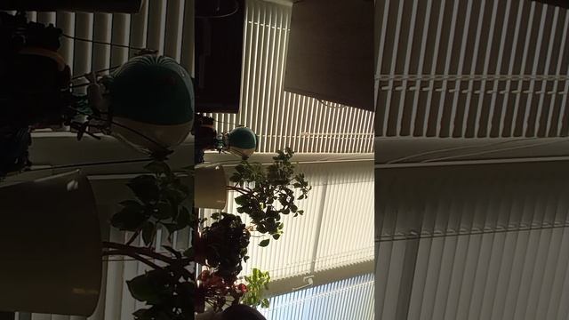 Я заболел (день от моего лица смотреть онлайн