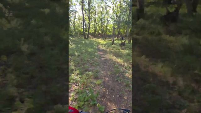 Велотуры на Twitter EM10 #Bafang #cyctrac #электровелосипеды