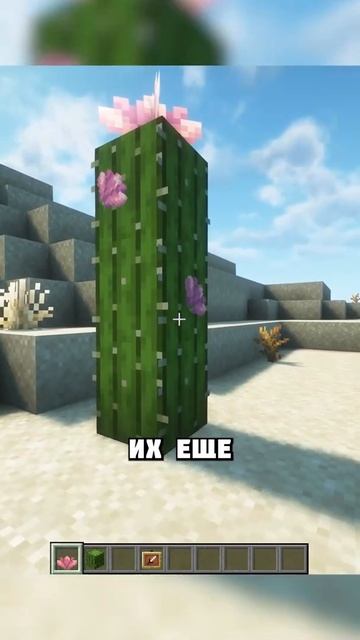 Я ЛЮБЛЮ КАКТУСОВЫЕ ЦВЕТЫ #shorts смотреть онлайн