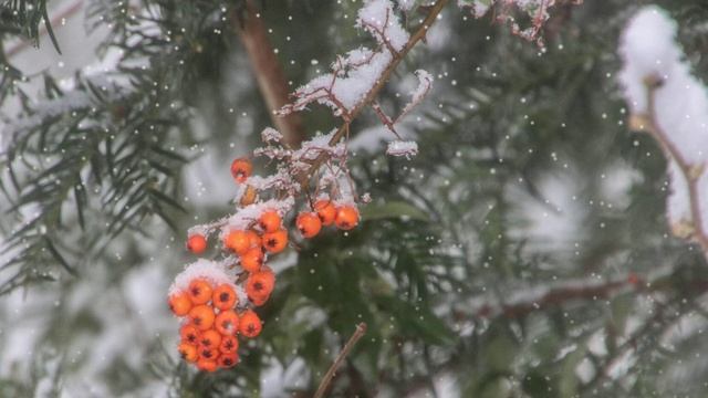 Футаж. Зимний пейзаж 144 смотреть онлайн