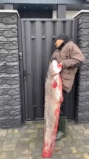 Рыбак и жена