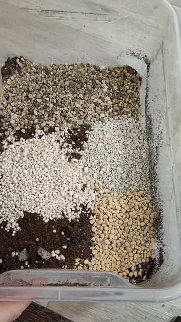 Подарили Мужское Счастье, теперь счастье привалило нужно ухаживать за таким счастьем смотреть онлайн