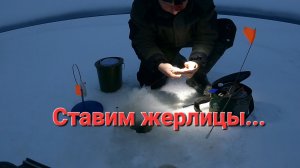 Поставили жерлицы на озере. Поймали первую щуку.