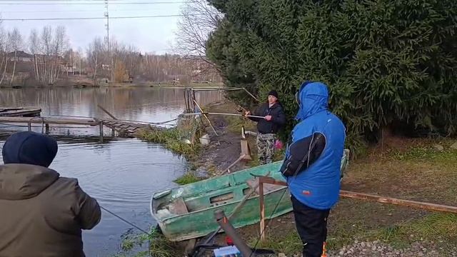 Светлые Горы Форель 20.11.2025г. смотреть онлайн