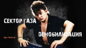 Сектор Газа - Демобилизация