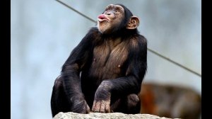 Интервью с Эдуардом Шерстяных