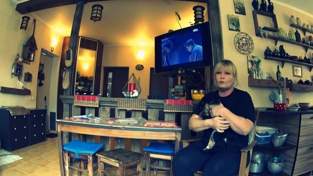 059_Нашел щенка под пальмой. смотреть онлайн