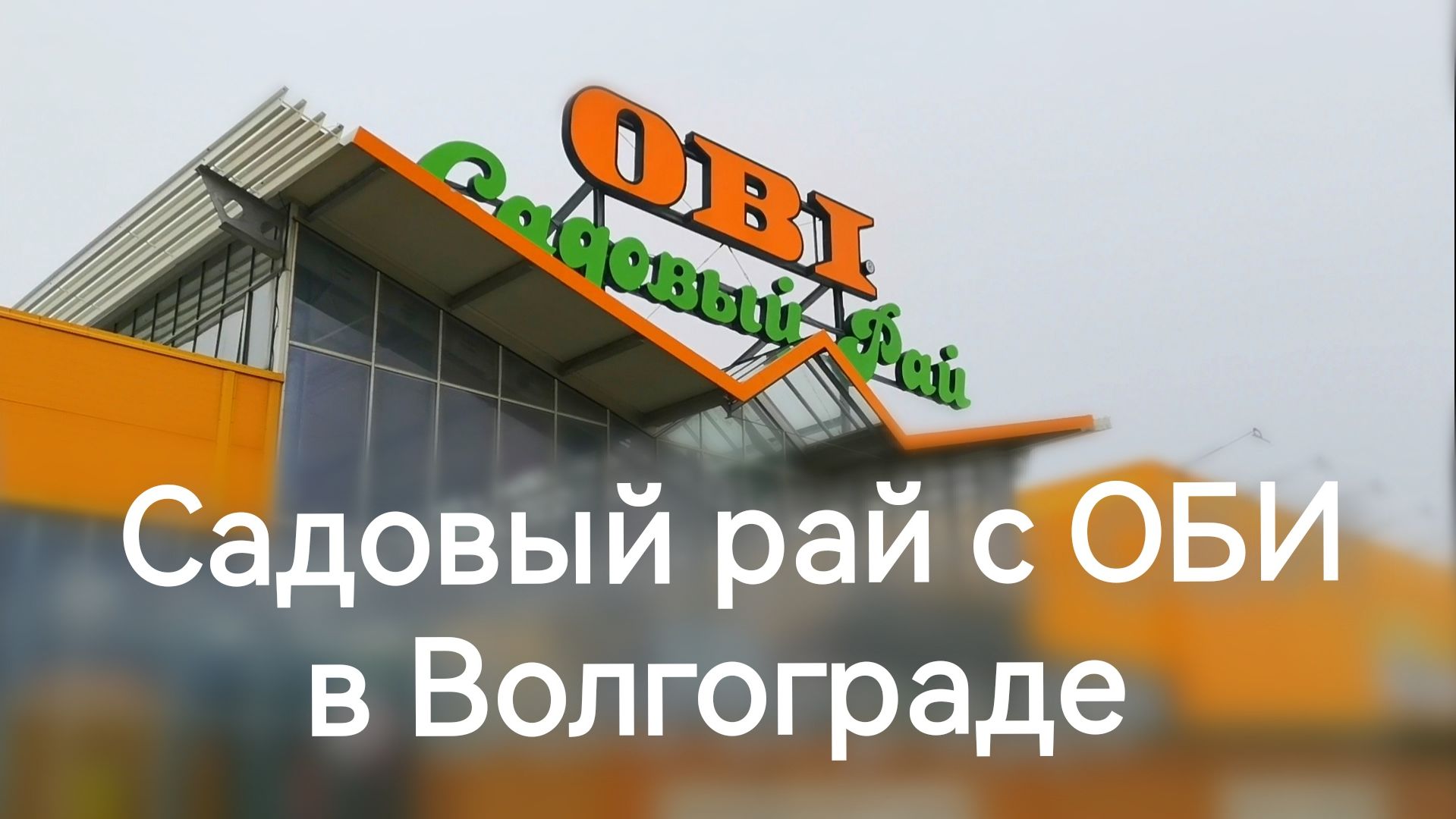 Обзор растений ОБИ в Волгограде