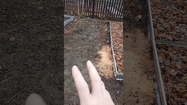 13 ноября 2025 год. Мой огород смотреть онлайн