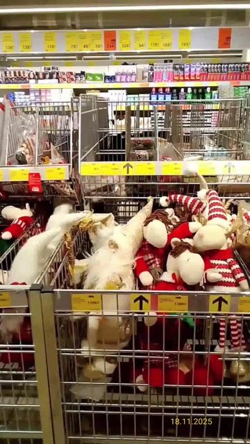 Новогодние украшения в супермаркете «Да!» Ул. Бибиревская, 7, корпус 2, Москва 18.11.2025