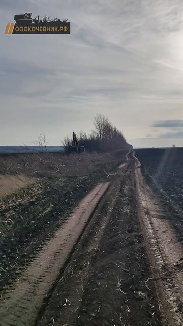 Работники компании "Кочевник" занимаются корчеванием и мульчированием посадок смотреть онлайн