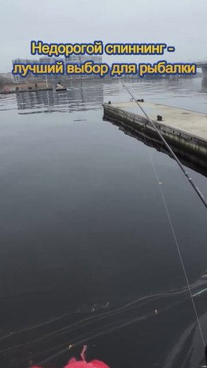 Почему нельзя ловить дорогими спиннингами?