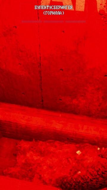 ужасы #игры смотреть онлайн