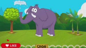 Любимые животные