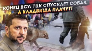 УКРАИНА В АГОНИИ: ТЦК начали забирать СОБАК! В окопах пусто, а кладбища переполнены!