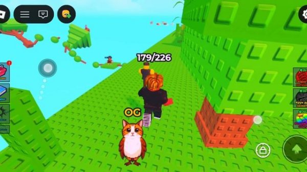 Гайд где найти брейнротов в Find the brainrot