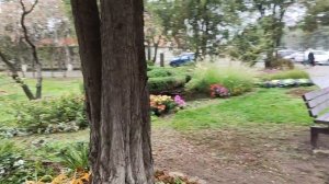 20.Переехали на Юг 12 ноября 2025. У нас ещё тепло.