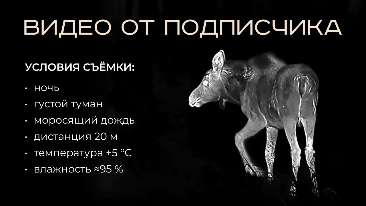 Что «видит» охотник через тепловизор ATOMOS 2×35 мм 640×512? смотреть онлайн