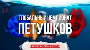 Глобальный чемпионат петушков в Китае