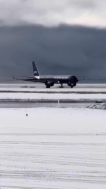 Красота 👍 смотреть онлайн