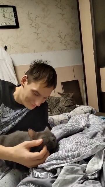 Месть смотреть онлайн