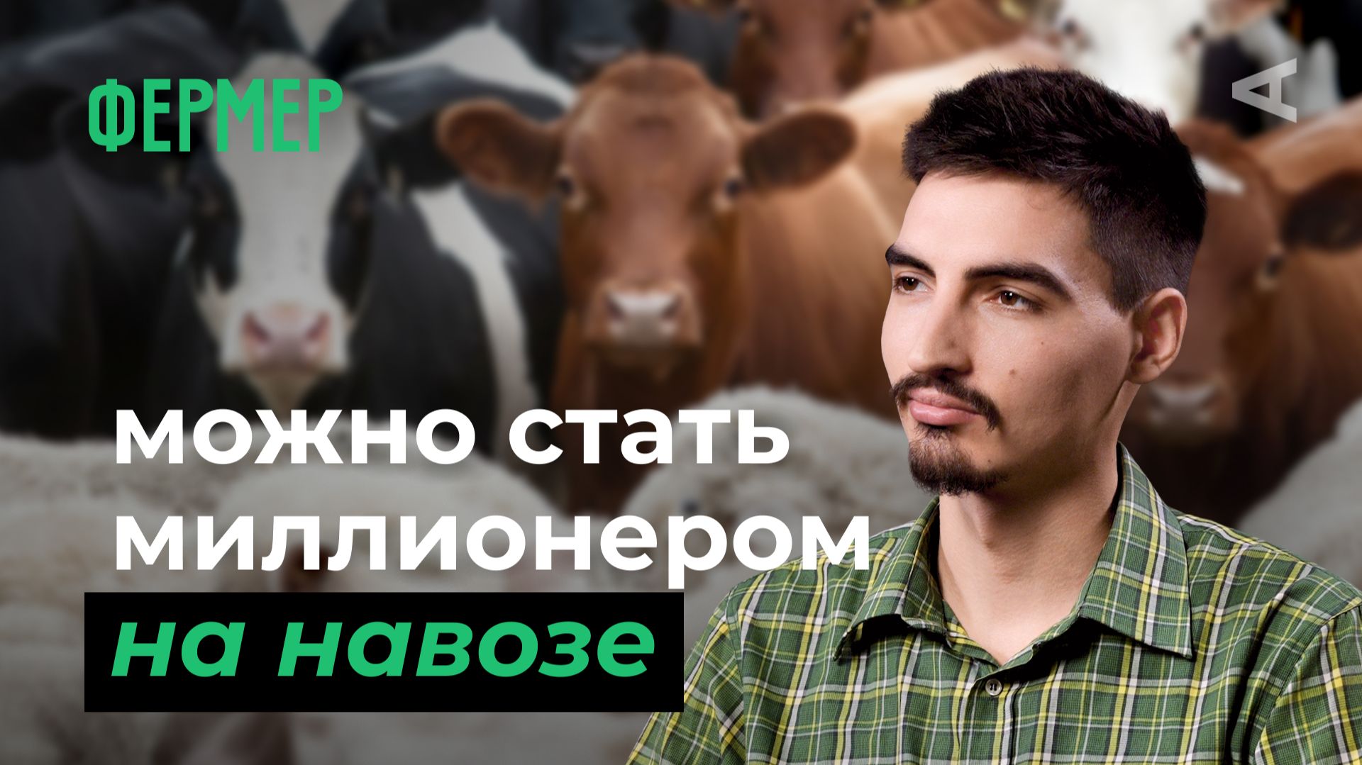 10 глупых вопросов ФЕРМЕРУ смотреть онлайн