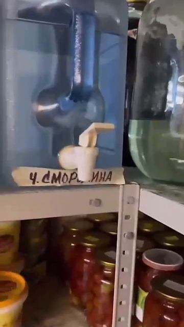 Увы..... не убежать...#пьянство #дружба #бухать #водка #трезвость #самогон #погреб #подвал #погребок смотреть онлайн