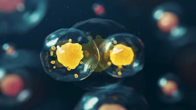 Матрица Гаряева Клеточное Омоложение ☀️ Мощное Исцеление Всего Организма ☀️ Регенерация Всего Тела смотреть онлайн