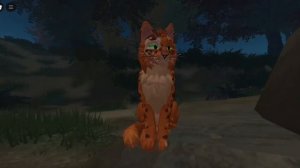 Коллаб с Звездолапой(чит опис)