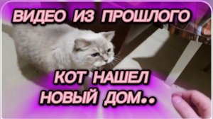 САМВЕЛ АДАМЯН, ПО ПРОСЬБАМ ЗРИТЕЛЕЙ, КОТ НАШЕЛ НОВЫЙ ДОМ..