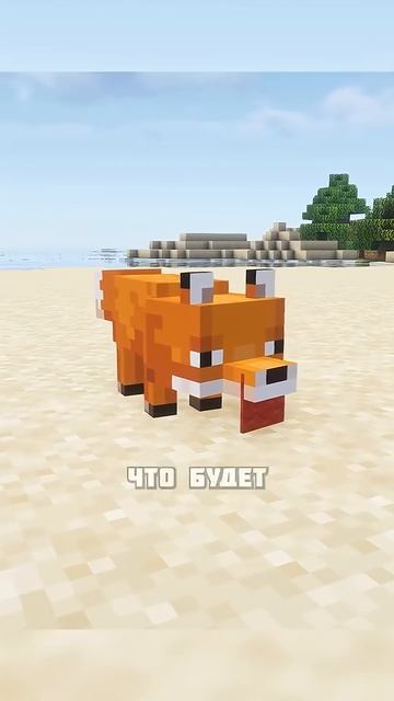 ОЧЕНЬ МИЛАЯ ЛИСА #shorts смотреть онлайн