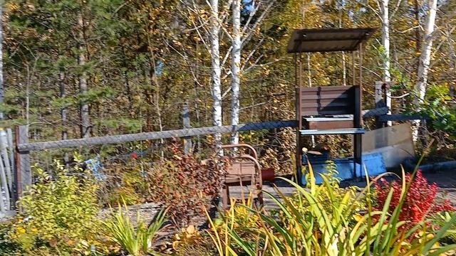 Пробежка по даче Колягино 27.09.2025 - 2