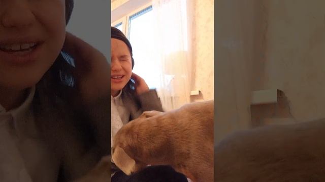 КАКОЙ ТО ПРАЗДНИК ШКОЛЫ?🏫 смотреть онлайн