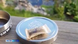 Язва, рак и аритмия: кузбасских подростков предупредили о последствиях увлечения «грибным снюсом»