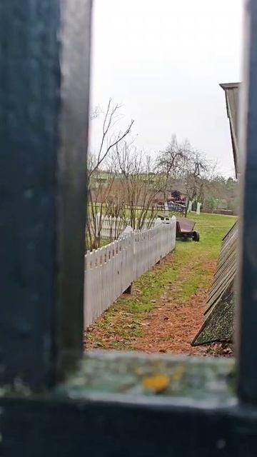 Курва конь))) Усадьба Поленово. смотреть онлайн