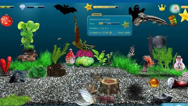 Мои аквариумы. Кормление День #479 смотреть онлайн