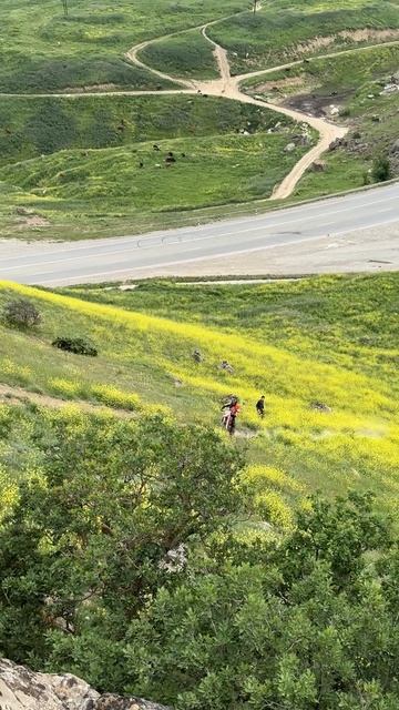 2025_05_08_13_19_IMG_0955 смотреть онлайн