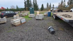 1000080903.mp4 Готовимся к транспортировке пчел в Калифорнию