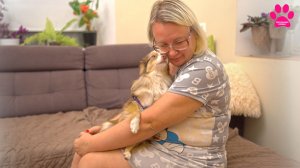 Нам нужна ЭТА СОБАКА! Купили НОВУЮ собаку! Что за порода и зачем нам?