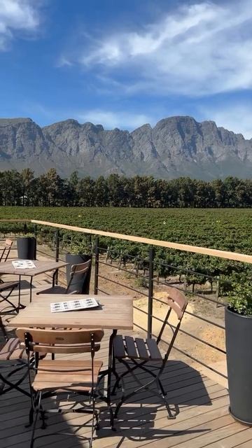 Мечтаешь увидеть пингвинов? 
А можешь хочешь погладить гепарда? 
Обнять зебру?) 

Все это возможно в