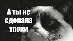 делаю уроки